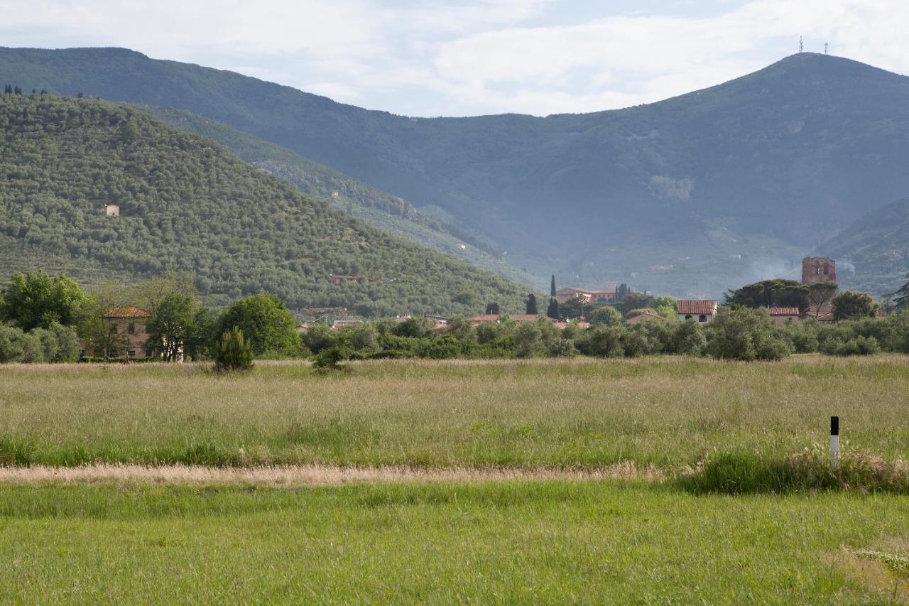 Agriturismo Villa Rosselmini Calci Eksteriør bilde