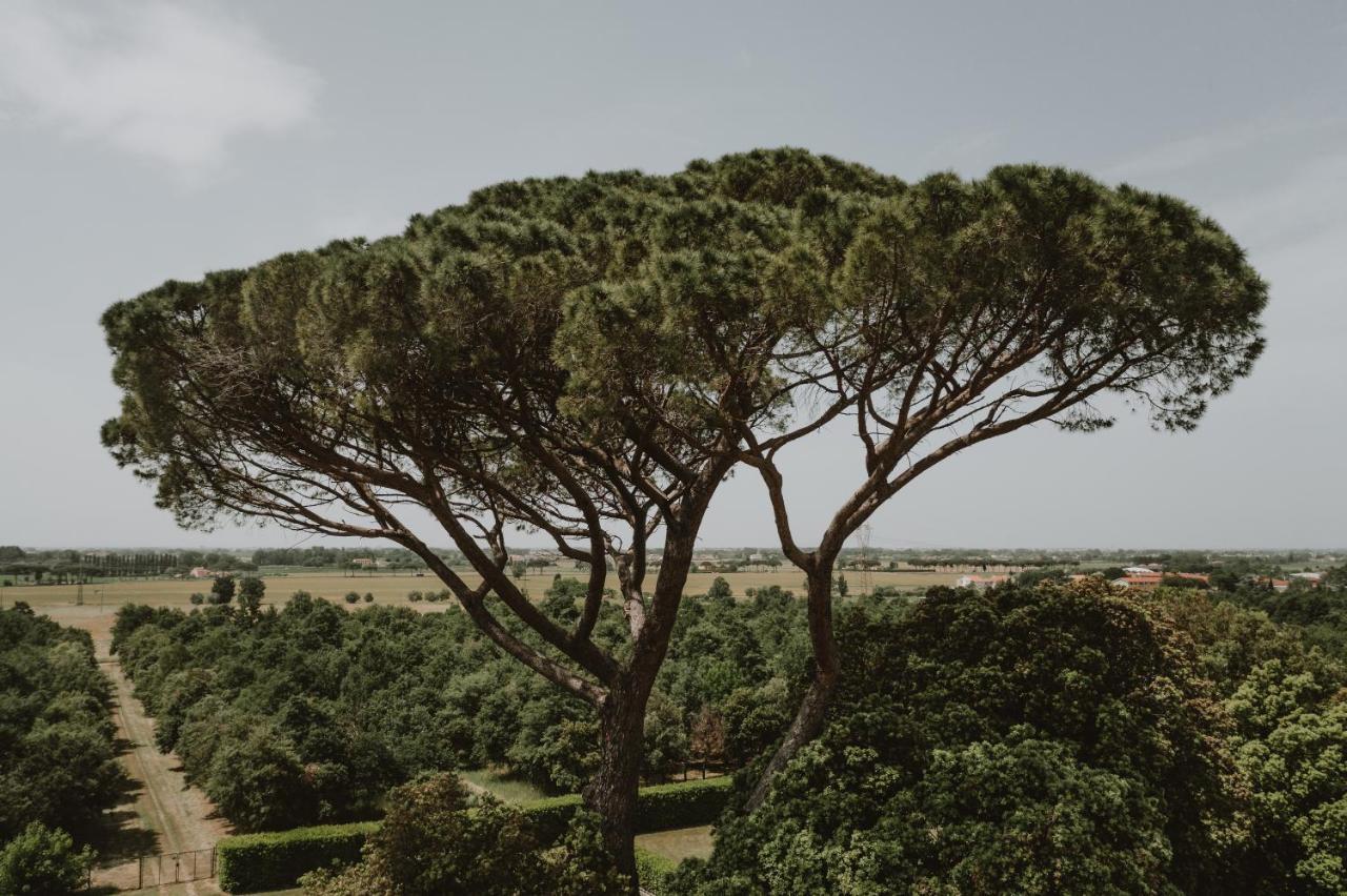 Agriturismo Villa Rosselmini Calci Eksteriør bilde